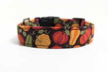 Load image into Gallery viewer, 'Aurelia' - Pumpkin Patch Dog Collar/Lead