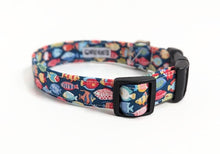Load image into Gallery viewer, Little Fish Dog Collar/Lead