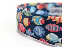 Load image into Gallery viewer, Little Fish Dog Collar/Lead