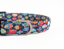 Load image into Gallery viewer, Little Fish Dog Collar/Lead