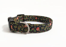 Load image into Gallery viewer, Robin Dog Collar/Lead