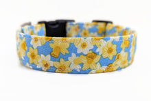 Load image into Gallery viewer, 'Anwen' - Daffodil Dog Collar/Lead