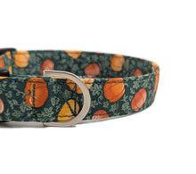 Load image into Gallery viewer, 'Agatha' - Pumpkin Picking Dog Collar/Lead