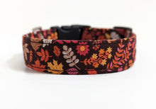 Load image into Gallery viewer, 'Aspen' - Into the Woods Dog Collar/Lead