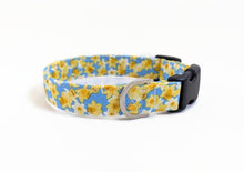 Load image into Gallery viewer, 'Anwen' - Daffodil Dog Collar/Lead