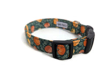 Load image into Gallery viewer, 'Agatha' - Pumpkin Picking Dog Collar/Lead