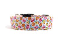 Load image into Gallery viewer, 'Fleur' - Liberty Tulips Dog Collar/Lead