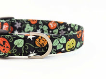 Load image into Gallery viewer, 'Nyx' - Glow in the Dark Pumpkin Dog Collar/Lead