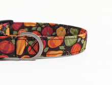 Load image into Gallery viewer, 'Aurelia' - Pumpkin Patch Dog Collar/Lead