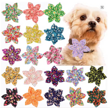 Load image into Gallery viewer, Puppy Dog Gift Box (Lead, Treats, Toy, Bow Tie/Flower)