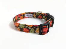Load image into Gallery viewer, 'Aurelia' - Pumpkin Patch Dog Collar/Lead