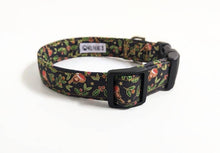 Load image into Gallery viewer, Robin Dog Collar/Lead