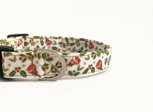 Load image into Gallery viewer, Robin Dog Collar/Lead