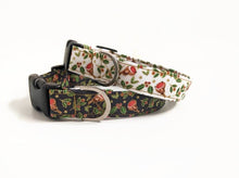 Load image into Gallery viewer, Robin Dog Collar/Lead