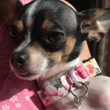 Load image into Gallery viewer, 'Elizabeth' - Pink Floral Dog Collar/Lead
