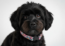 Load image into Gallery viewer, 'Cecile' - Pastel Blossoms Dog Collar/Lead