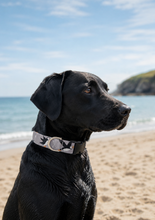 Load image into Gallery viewer, Puffin Dog Collar/Lead