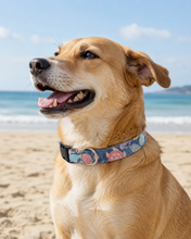 Load image into Gallery viewer, Under The Sea - Coral Dog Collar/Lead