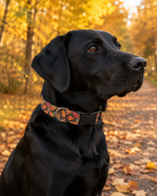 Load image into Gallery viewer, 'Sienna' - Orange Leaves Dog Collar/Lead